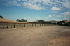 Arena