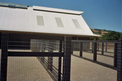 Non Climb - Horse Paddocks