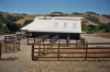 Board Rail, Horse Paddocks