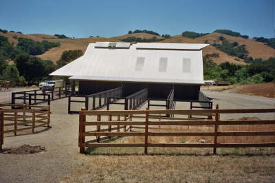 Board Rail, Horse Paddocks