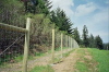 Deer Fence
