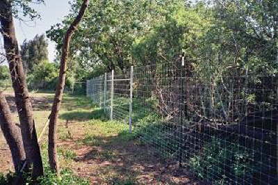 Deer Fence