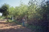Deer Fence