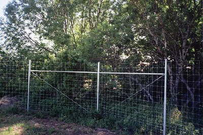 Deer Fence