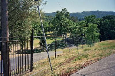 Deer Fence
