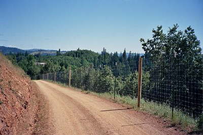 Deer Fence