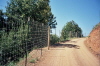 Deer Fence