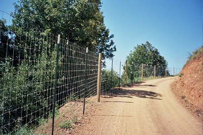 Deer Fence