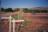 Deer Fence