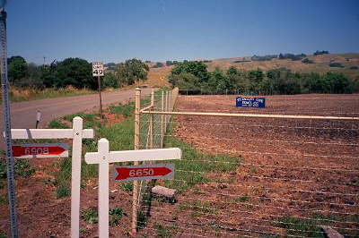 Deer Fence