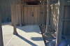 Privacy Fence