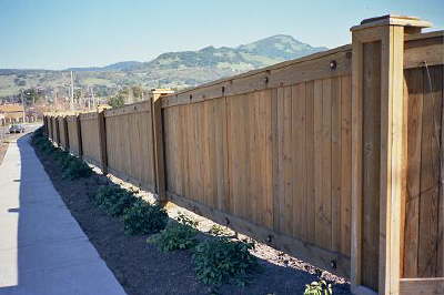 Privacy Fence
