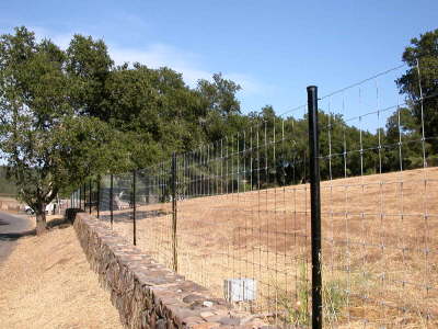 Deer Fence w/Black Pipe Posts
